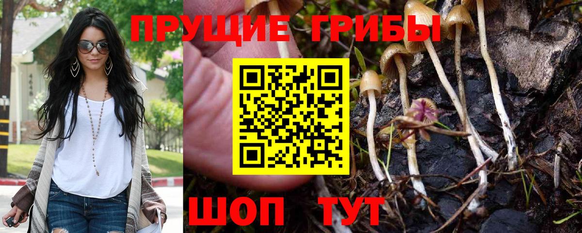 Сургут  Псилоцибиновые грибы прущие грибы  Вход с VPN 